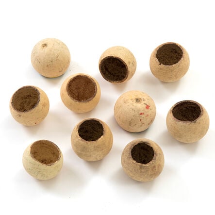 Bell Cups 10pk  hi\-res