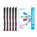Nuvo Windstars 1 Recorders+ Class Set of 10  hi\-res