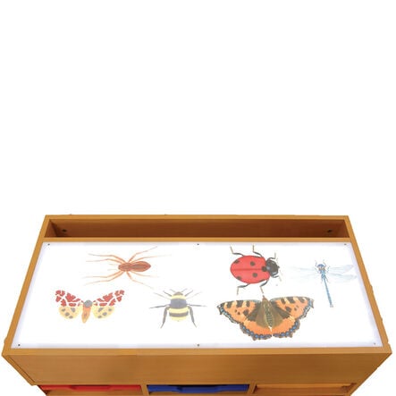 Squidgy Light Box Accessory Kit  hi\-res