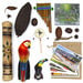 TTS The Rainforest Artefact and Books Resource Box  hi\-res