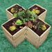 Cross Shaped Grow Bed  hi\-res