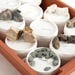Rock Samples Class Pack  hi\-res