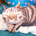 TTS Vibrating Weighted Lap Buddy  hi\-res