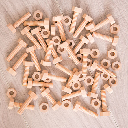 Wooden Nuts \x26 Bolts  hi\-res