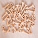 Wooden Nuts \x26 Bolts  hi\-res