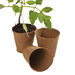 Round Fibre Plant Pots  hi\-res