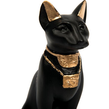 Ancient Egypt Remains Time Capsule Artefact Collection KS2  hi\-res