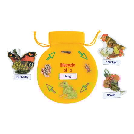 Life Cycle Sequencing Bag  hi\-res