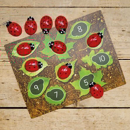 Ladybird Counters and Cards  hi\-res