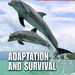 KS2 Evolution and Adaptation Book Pack \- 10pk  hi\-res