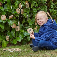 TTS Rustic Number Collection  TTS Rustic Number Collection  hi-res