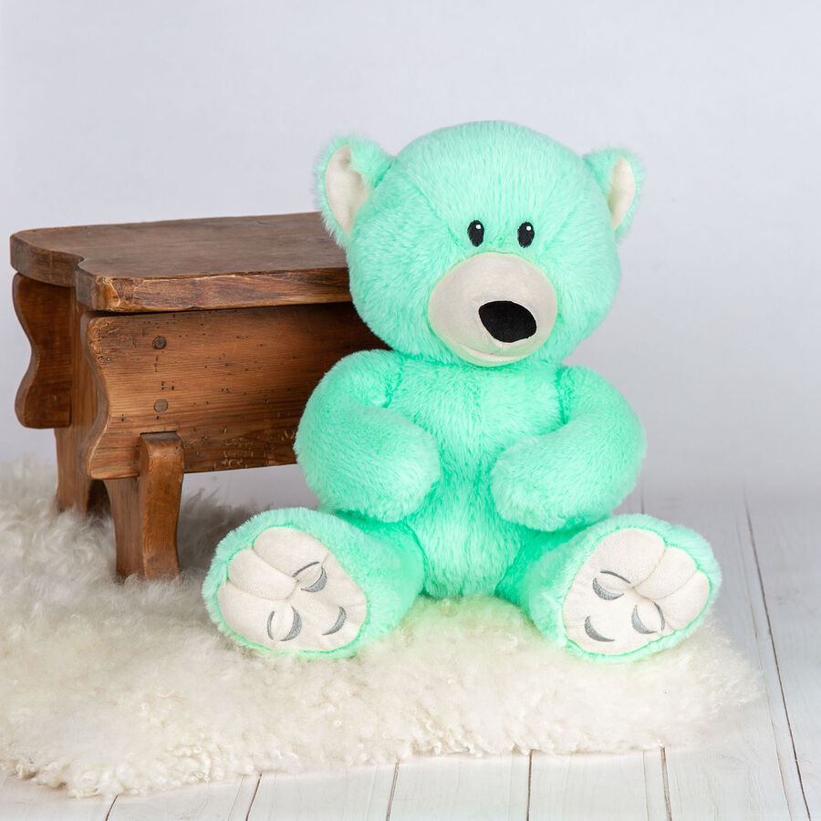 Mint green teddy bear online