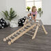 Pikler Inspired Nursery Play Ladder Natural  hi\-res