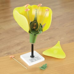 3D Flower Model With Detachable Parts  3D Flower Model With Detachable Parts  hi-res