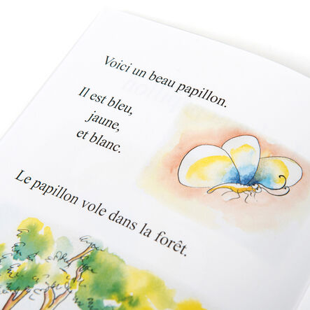 French Reading Book Pack 10pk  hi\-res