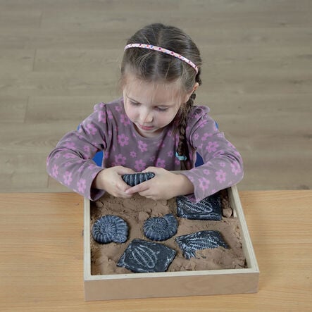 Sensory Fossil Replica Set 6pcs  hi\-res