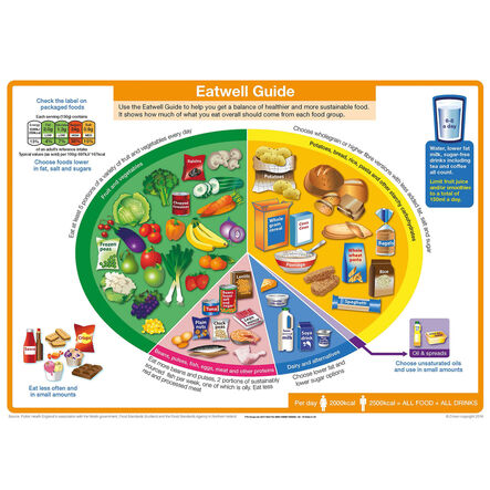 The Eatwell Plate Floor Mat A1  hi\-res