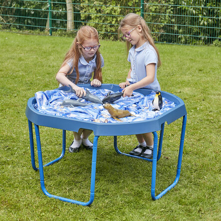 TTS Active World Blue Tray and Blue Stand  hi\-res