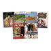 Viking and Anglo Saxon Books 6pk  hi\-res
