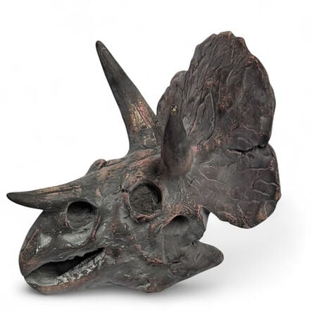 Dinosaur Fossil Kit  hi\-res