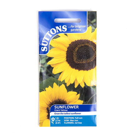 Giant Sunflower Seeds  hi\-res