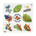 Frog, Duck, Butterfly and Tree Life Cycle Jigsaws  hi\-res