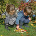 Natural Flower Sorting Tray  hi\-res