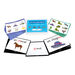 TTS French Family Vocabulary Builder Activity Cards  hi\-res