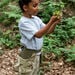 Outdoor Exploration Foraging Pockets Set  hi\-res
