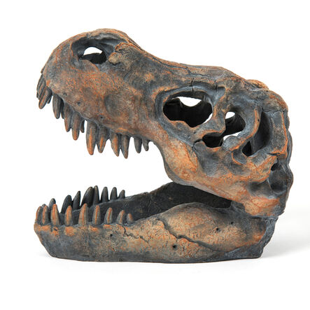 Dinosaur Fossil Kit  hi\-res