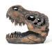 Dinosaur Fossil Kit  hi\-res