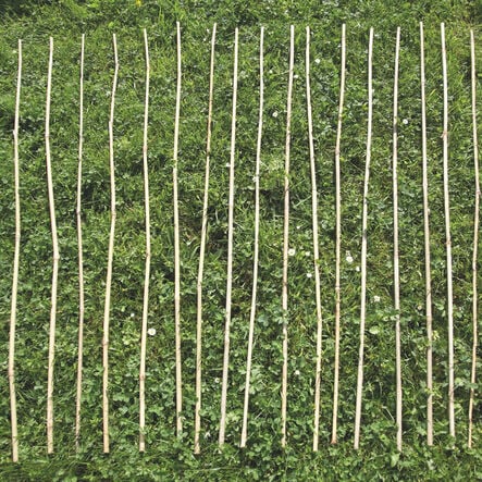 Bamboo Canes 20pk  hi\-res