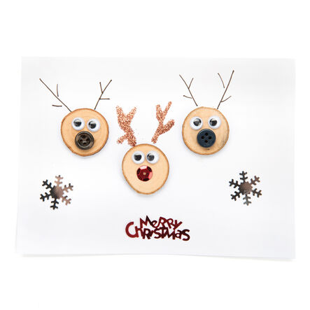 Wooden Tree Flake Discs 500pk  hi\-res