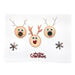Wooden Tree Flake Discs 500pk  hi\-res