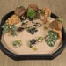 Terrific Talking Frogs  hi\-res