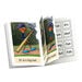 Dandelion Launchers Phonics Decodable Books  hi\-res