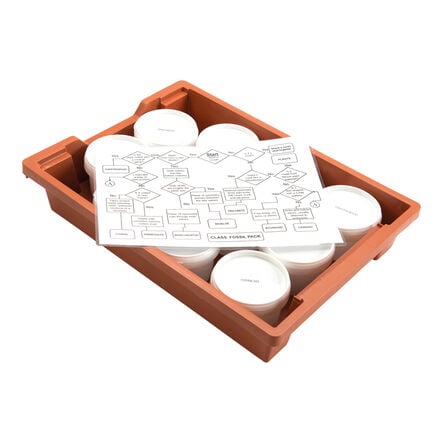 Fossil Class Pack  hi\-res