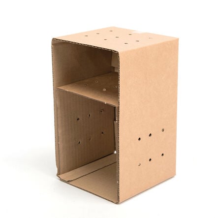 Pre Punched Cams Toy Box  hi\-res