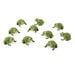 Terrific Talking Frogs  hi\-res