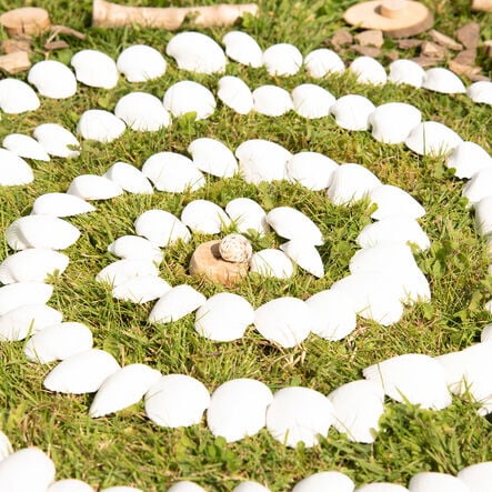 White Seashells 2.5l  hi\-res