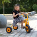 Rabo Large Trike  hi\-res