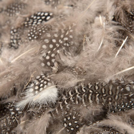Feather Pack Assorted 78g  hi\-res
