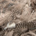 Feather Pack Assorted 78g  hi\-res