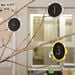 TTS Eco Outdoor Mini Daisy Hanging Chalkboards 30pk  hi\-res