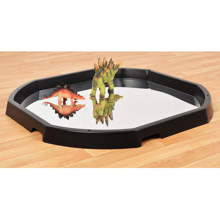 Mirrored Tuff Tray Insert  hi\-res