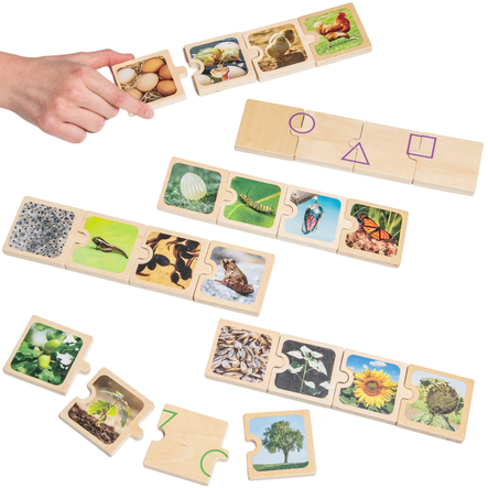 Life Cycles Puzzle  hi\-res