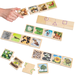 Life Cycles Puzzle  hi\-res