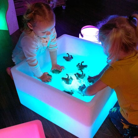 Terrific Talking Frogs  hi\-res