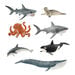 Detailed Small World Sea life Collection  hi\-res