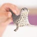 Parent and Baby Arctic and Antarctic Animal Collection  hi\-res